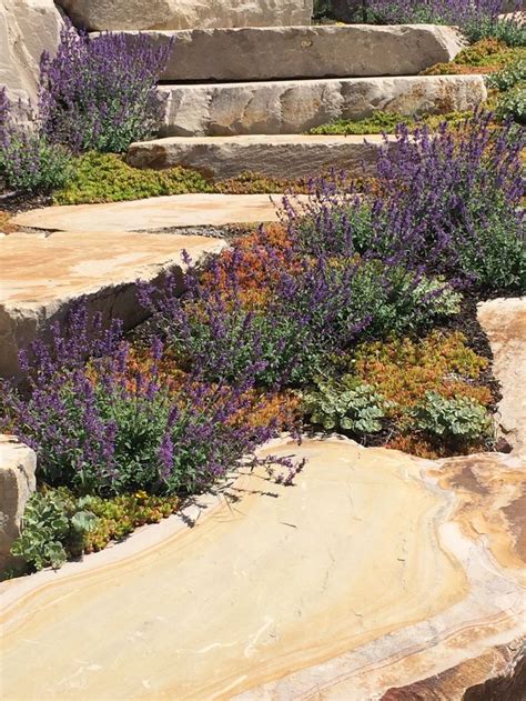 Excellent as a found over, in a rock garden or as an edging. Sedum, Ice Plant low water gardens Utah | Garden ...