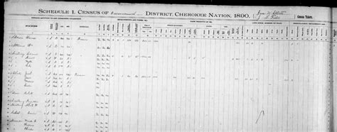 My Ancestors Name Exploring The Cherokee 1890 Census
