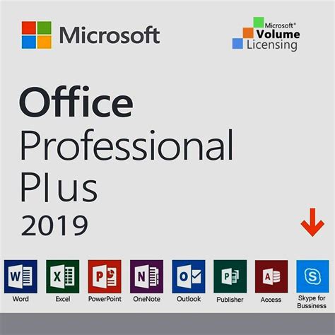 Microsoft Office Professional Plus 2019 Product Key License Volume Fpp