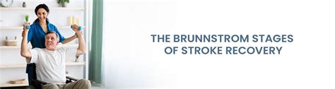 Brunnstrom Stages Of Stroke Recovery The Brunnstrom Approach