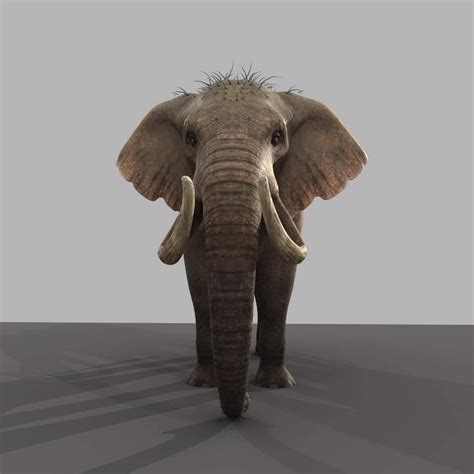 Artstation Elephant