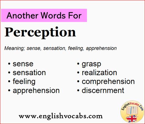 Another Word For Perception What Is Another Word Perception English