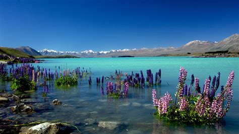 Wallpaper Lake Tekapo New Zealand Mountains 4k Nature 16349