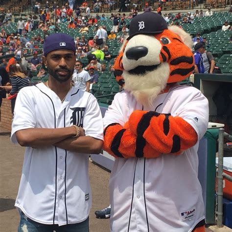 Detroit Tigers On Twitter Detroit Tigers Paw National Cat Day