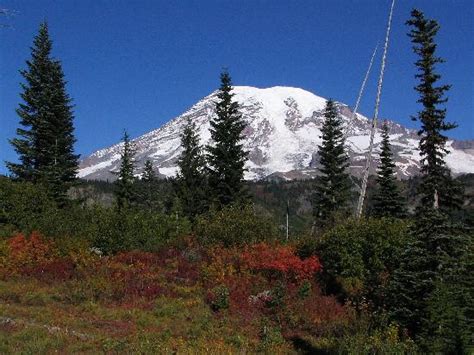Snow Lake Trail Mount Rainier National Park 2020 Alles Wat U Moet