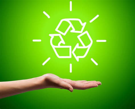 Conheça Os 4 Tipos Diferentes De Sustentabilidade • Green