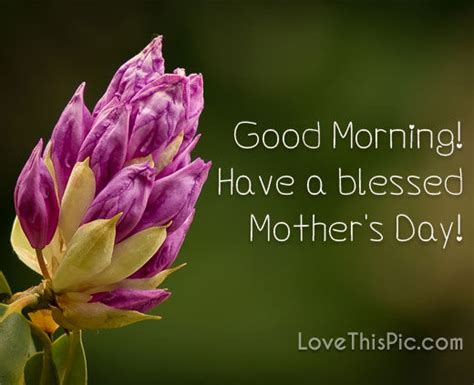 Good Morning Have A Blessed Mothers Day Pictures Photos And Images