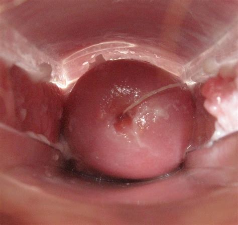 View Of Penis Inside Vagina Alta California