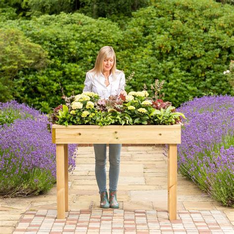 Standard Wooden Raised Bed Tables Raised Bed Gardening Harrod Horticultural