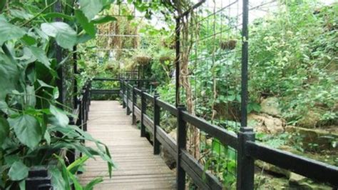 Tropical World In Leeds Reopens After £15m Refurbishment Bbc News