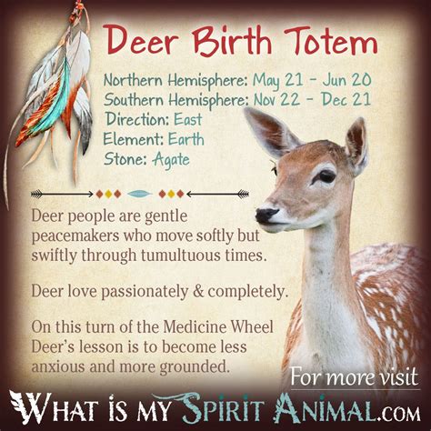 Deer Totem Native American Zodiac Signs And Birth Signs Native