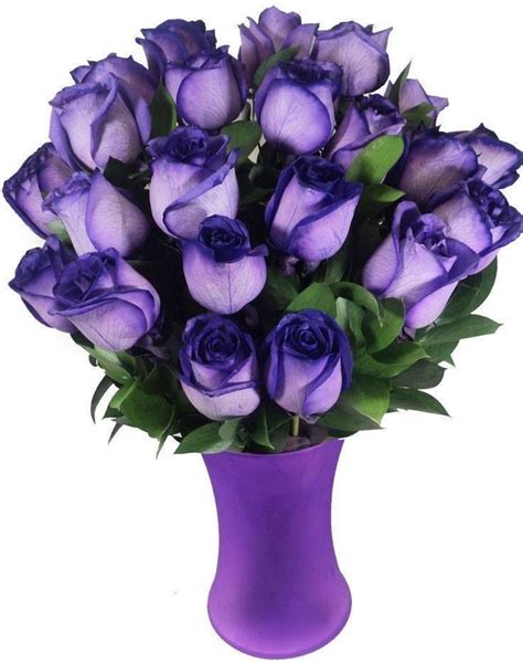 Pin By Darlene Stanton On Roses And Flowers Purple Roses Purple