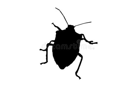 Black Bug Silhouette On White Background Stock Vector Illustration Of