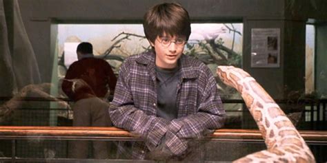 Why Harry Potter Could Communicate With Snakes