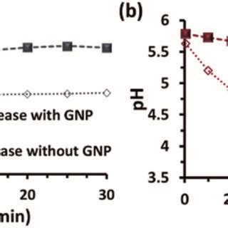 Ph Change As A Function Of Time Due To The Enzymatic Action Of A