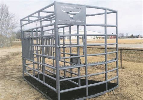 Horned Cattle May Require Special Chutes The Western Producer