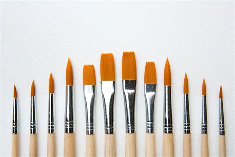 Want To Know The Anatomy Of A Paintbrush Or The Difference Between A