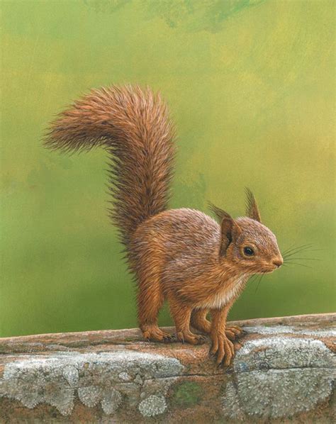 Original Paintings Wildlife Artist Robert E Fuller Squirrel