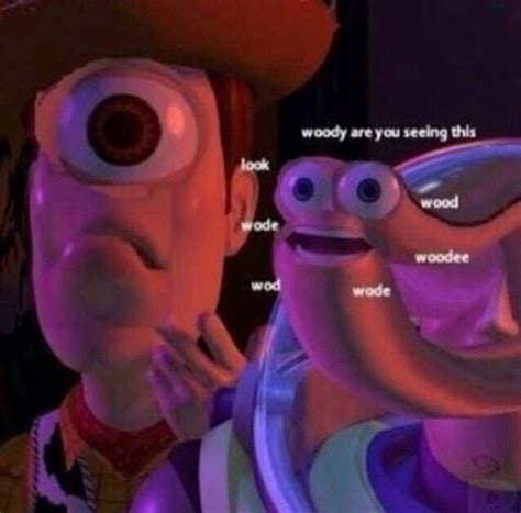 Toy Story Woody Meme
