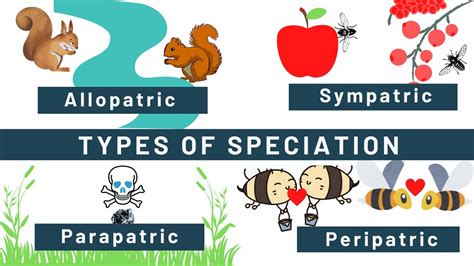 Speciation Allopatric Sympatric Peripatric Parapatric Types Of