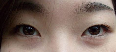 ¿por Qué Los Asiáticos Tienen Los Ojos Rasgados ¡no Sabes Nada