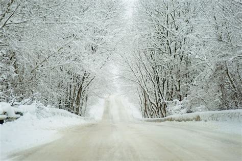 Winter Landscape With Road Surrounded By Trees Stock Photo Image Of