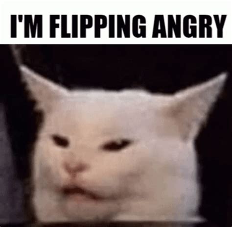 Angry Cat Shaking Rage Funny Meme 