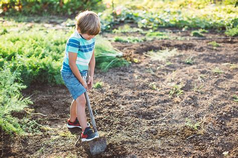 Little Boy Digging In A Garden By Stocksy Contributor Bryan Rupp