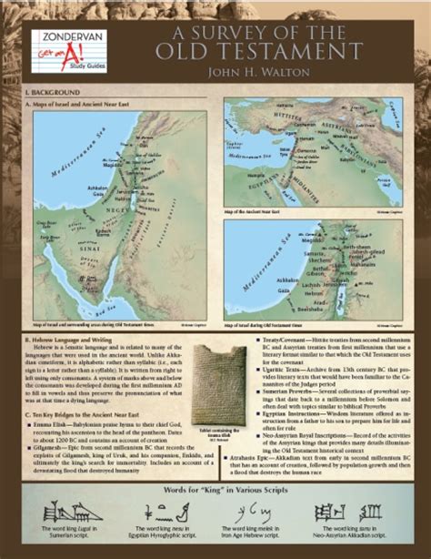Study Guide Survey Of The Old Testament Olive Tree Bible Software