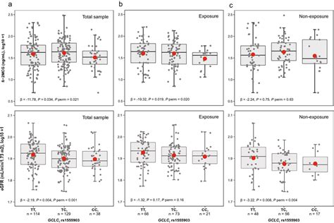 Beta 2 Microglobulin β 2mcg And Estimated Glomerular Filtration Rate Download Scientific