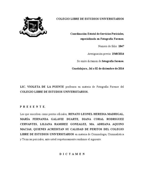 Dictamen Fotografia Pdf México Conflicto Armado