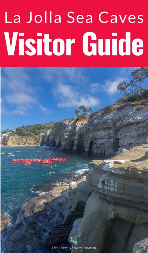 La Jolla Sea Caves Ultimate Guide For Visitors