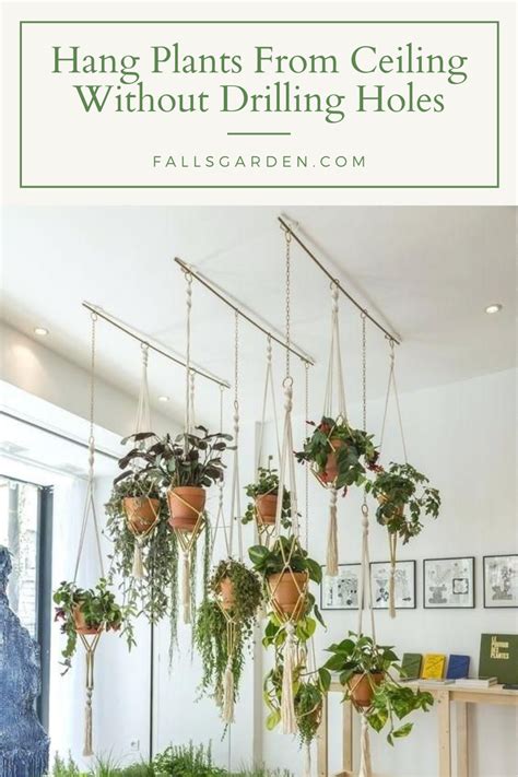How To Hang A Plant From The Ceiling In An Apartment