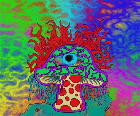 55 Best Images About Super Shroom On Pinterest Trips Psychedelic And