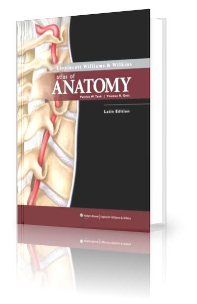 Surgery Made Easy Lippincott Williams And Wilkins Atlas Of Anatomy Pdf