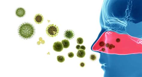 Alergia Czynniki J Wywo Uj Ce Rodzaje I Metody Leczenia Opinie