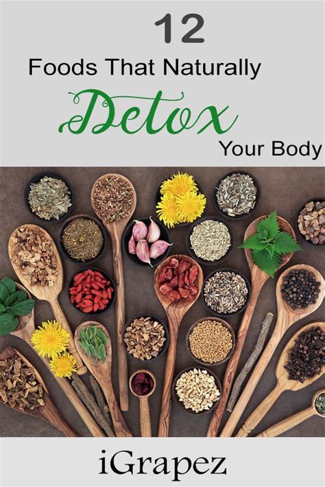 12 Foods That Naturally Detox Your Body Igrapez