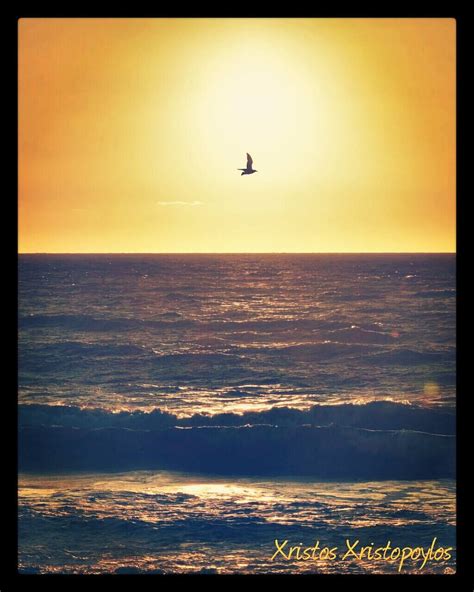 A Wonderful Sunset 🌇 On The Beach 🌊 With Flying Bird 🐦 👌 ☺ 💖