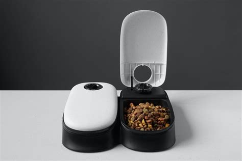 Top 10 Automatic Dog Feeders And Food Dispensers In 2020 Dogsrecommend