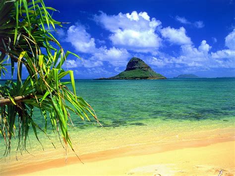 Beach Nature Sea Ocean Sky Blue Exotic Wallpapers Hd Desktop