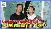 康子妮林曉峰婚變｜網民最關注前女友潘菁華 盤點9對破滅童話