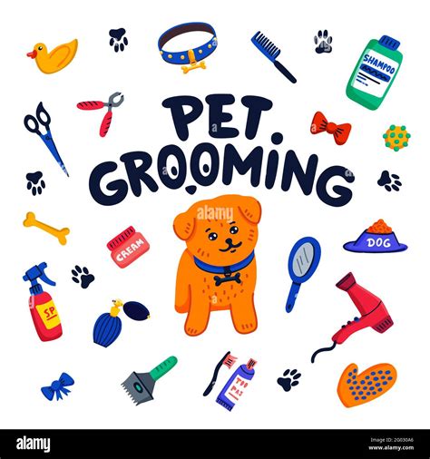 Lista 95+ Foto Cartel Del Cuidado De Las Mascotas Cena Hermosa