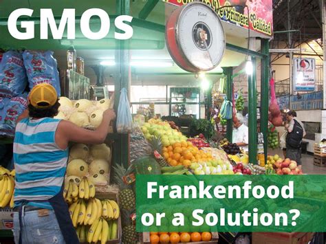 Genetically Modified Organisms Frankenfood Or A Solution