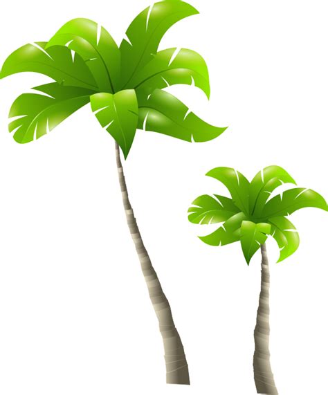 Palm Tree Clipart Png Transparent Background Free Download 31890