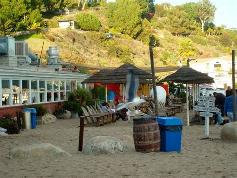 Fantastic Restaurant Picture Of Paradise Cove Beach Cafe Malibu Tripadvisor