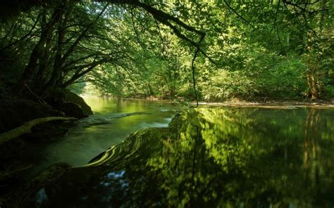 4522605 River Landscape Forest Rare Gallery Hd Wallpapers