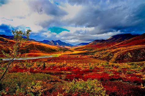 720p Free Download Indian Summer Yukon Fall Colors Sky Canada