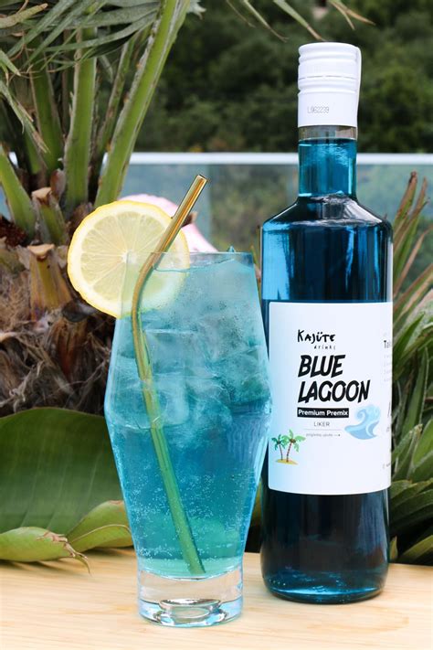 Blue Lagoon KajÜte Drinks Hrvatska Swish Group Doo