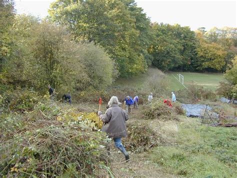 Butts Meadow 2003 Sunnyside Allotment Society