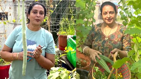 Actress Seetha Visit His Own Village For Kuladeivam Worship Video Viral